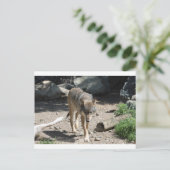 IMG_7805 ポストカード (スタンド正面)