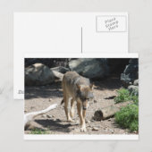 IMG_7805 ポストカード (正面/裏面)