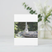 IMG_7954 ポストカード (スタンド正面)