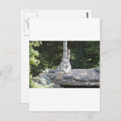 IMG_7954 ポストカード (正面/裏面)