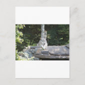 IMG_7954 ポストカード (正面)