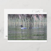 IMG_8448_1 ポストカード (正面/裏面)