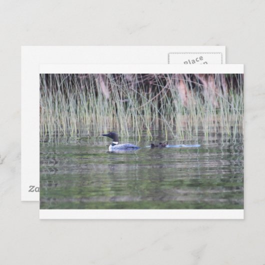 IMG_8448_1 ポストカード (正面/裏面)