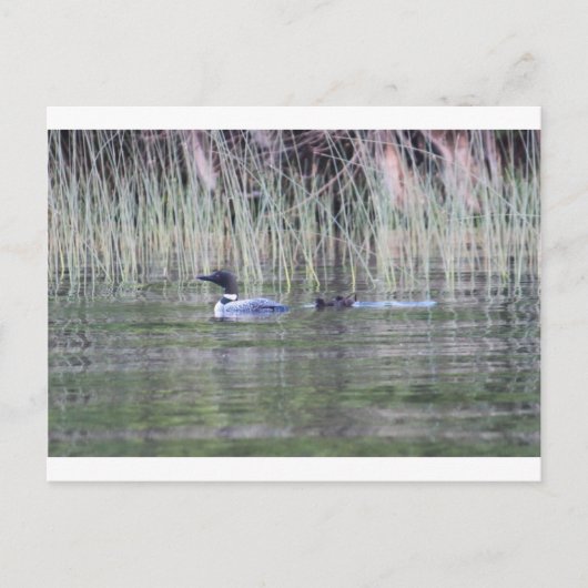 IMG_8448_1 ポストカード (正面)