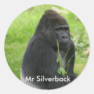 IMG_8810、Mr.シルバーバック ラウンドシール