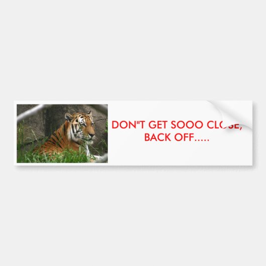 IMG_8841、ドン" TはSOOOを近い、後退します.....得ます バンパーステッカー (正面)