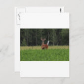 IMG_9486_1 ポストカード (正面/裏面)