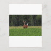 IMG_9486_1 ポストカード (正面)