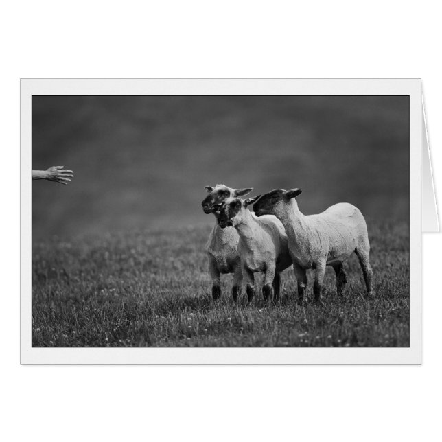 IMG_9504コピー (正面横)