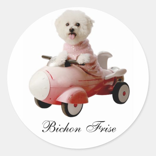 IMG_9658-F1コピー、Bichon Frise ラウンドシール (正面)