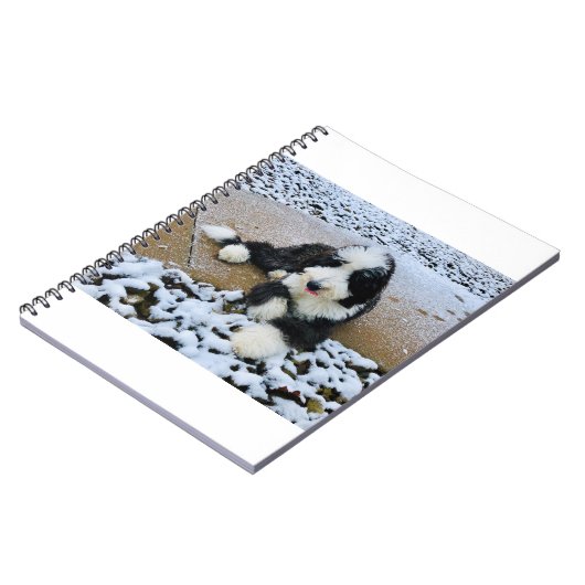 IMG_9916 ノートブック (左側)