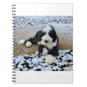 IMG_9916 ノートブック (正面)