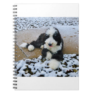 IMG_9916 ノートブック