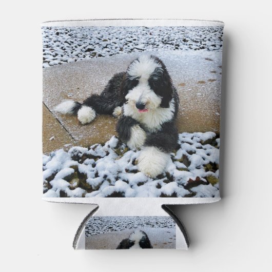 IMG_9916 缶クーラー (正面)