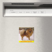 IMGP0288、私が暑いのを知っている!! マグネット (インサイチュ (食洗機))