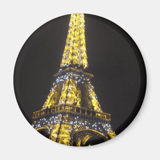 IMGP0343 マグネット (正面)