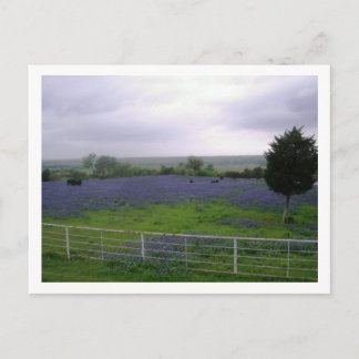 IMGP4300 ポストカード