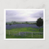 IMGP4300 ポストカード (正面)