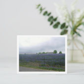 IMGP4303 ポストカード (スタンド正面)