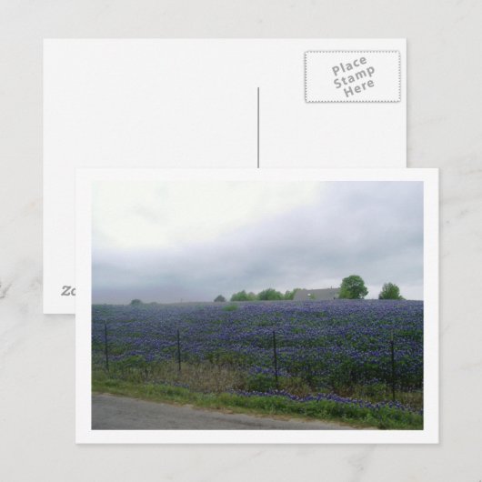 IMGP4303 ポストカード (正面/裏面)