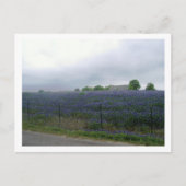 IMGP4303 ポストカード (正面)