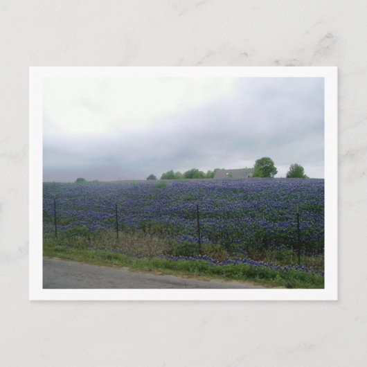 IMGP4303 ポストカード (正面)