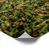 Impala ポスター (角)