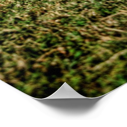 Impala ポスター (角)