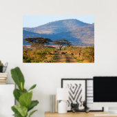 Impala (Aepyceros Melampus), Hluhluwe-Umfolozi ポスター (ホームオフィス)