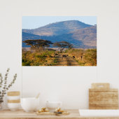 Impala (Aepyceros Melampus), Hluhluwe-Umfolozi ポスター (キッチン)