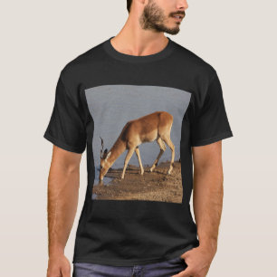 Impala antelope水穴の写真で飲む tシャツ
