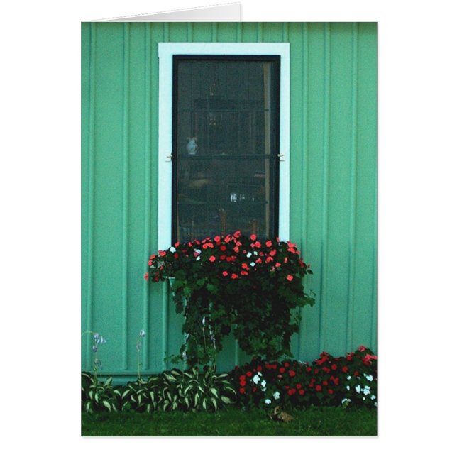 Impatientsのウィンドウ・ボックス (正面)