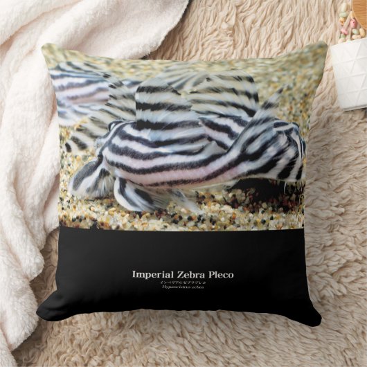 Imperial Zebra Pleco クッション (ブランケット)