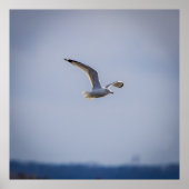 In Flight ポスター (正面)