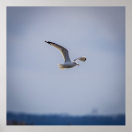 In Flight ポスター