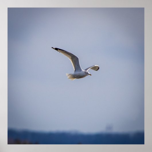 In Flight ポスター (正面)