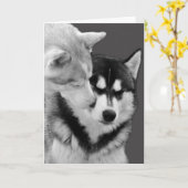 in love カード (黄色い花)