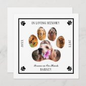 In Loving Memory写真Petメモリアル – ホワイトブラック 招待状 (正面/裏面)
