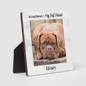 In Loving Memory - Man's Friend 最高の Pet  Memorial フォトプラーク (正面)