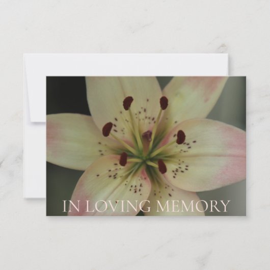 In Loving Memory Memorial Service招待状 サンキューカード (正面)