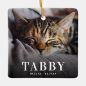 In loving Memory Pet Memorial Catトリビュート2写真 セラミックオーナメント (正面)