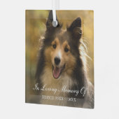 In Loving Memory Photo エレガント Pet Memorial ガラスオーナメント (正面左)
