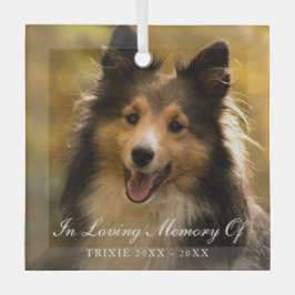 In Loving Memory Photo エレガント Pet Memorial ガラスオーナメント