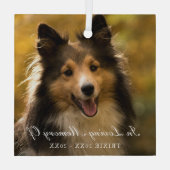 In Loving Memory Photo エレガント Pet Memorial ガラスオーナメント (裏面)