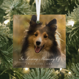 In Loving Memory Photo エレガント Pet Memorial ガラスオーナメント