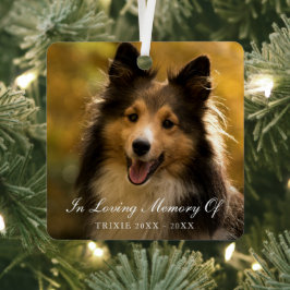 In Loving Memory Photo エレガント Pet Memorial メタルオーナメント