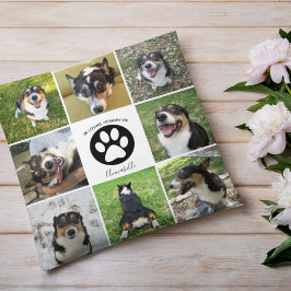 In Memory Dog Photo Pet Collage Paw Print Keepsake クッション