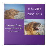 In Memory, Love Remains タイル (正面)