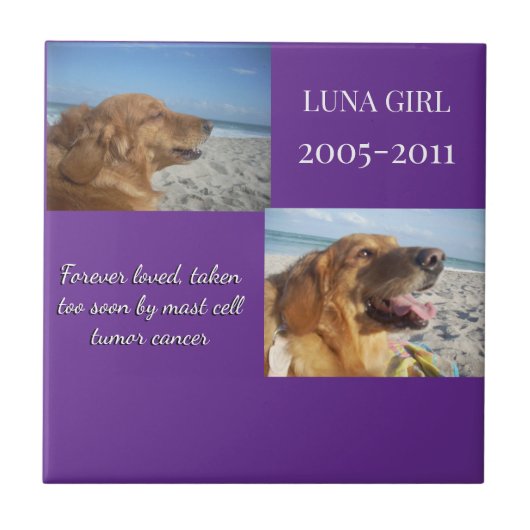 In Memory, Love Remains タイル (正面)