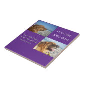 In Memory, Love Remains タイル (側面)